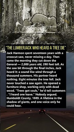 The Lumberjack Who Heard a Tree Die