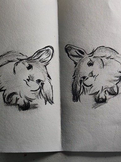 Learn to Draw a Rabbit with Thread Techniques