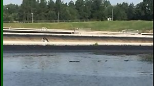 6.5K views · 35 reactions | Texas Freshwater Fisheries Center - Texas Parks and Wildlife on Reels | Facebook