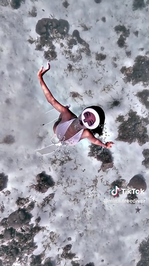 Mastering Free Diving Techniques for Beginners