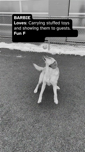 Barbie has joined us for final training!