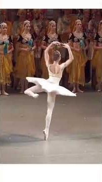 #ballet #dancer #fun #ballerina