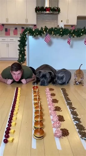 They eats so fast even the food looks confused 😂😭 #dog #cat #eatingchallenge #pets #canecorse