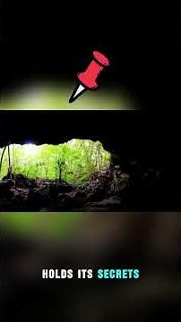 A Wild Jungle Found on an Alien Planet