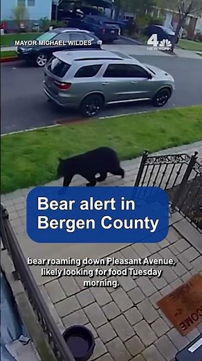 Bear alert in Bergen County | NBC New York