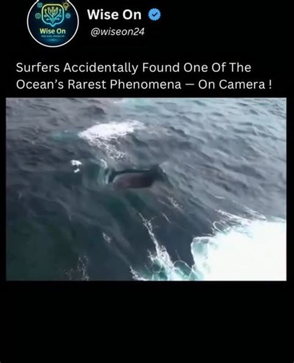 zorancodes on Instagram: "One of the rarest ocean phenomena wasn’t discovered by scientists—it was spotted by surfers. In seconds, the water shifts into a pattern that looks unreal, like the sea is folding, sliding, or “resetting” itself. This happens when waves, currents, wind, and seabed shape line up in a very specific way, creating a brief, high-contrast effect that most people will never witness in person. #oceanmystery #australia #wavephysics #surfers #viralreeĺs Video: @drone_guy_ben chri