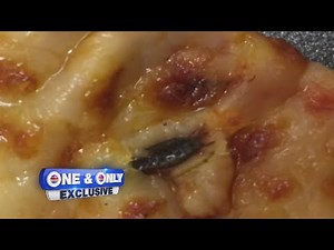 Student finds roach in pizza during end-of-year celebration