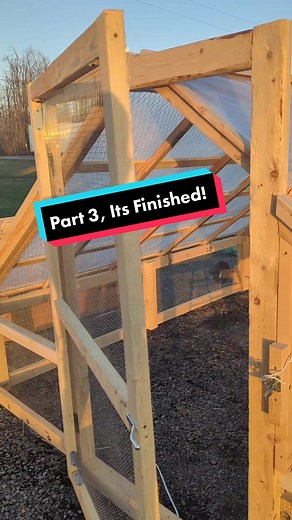 Building a DIY Chicken Tractor for Modern Homesteading