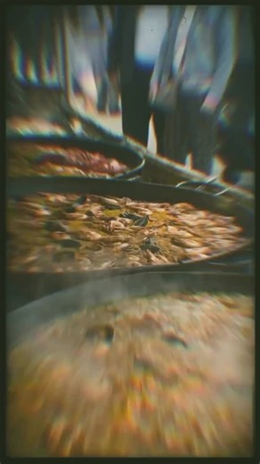 🎪 SUNDAY = PAELLA DAY in WALTHAMSTOW! 🥘💛 We’re back at the Walthamstow Sunday Social Market on Sunday 2nd November! And yes – the one and only Lobster Paella 🦞🔥 is back in the pan and ready to steal the show! Feel the saffron aroma in the air, hear the rice sizzle, and soak up those unbeatable Sunday vibes 🎵🌞 Come hungry, bring your mates, and treat yourself to a plate of sunshine before it’s gone – this one sells out fast! 😋 ✨ Where & When: 📍 Walthamstow Sunday Social Market 📅 Sunday 