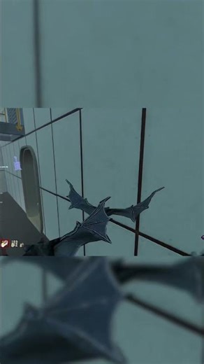 I know she was mad 😭 #dbd #dbdcreator #deadbydaylight #gaming #dbdclips #dracula