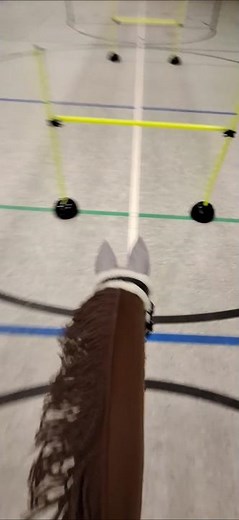 Hobby Horsing Springtraining #hobbyhorse #hobbyhorsing #fyp #sports #shortvideo #shorts #training