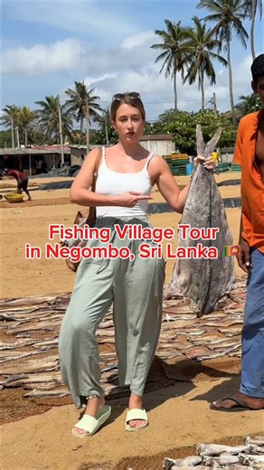 Definitely an eye opening experience in Sri Lanka 🥹🐟 Dried fish (karawala) is very popular in Sri Lankan cooking. It’s also dried so that it lasts weeks or months without refrigeration. It’s a ton of work… men usually handle the fishing and women handle much of the post-harvest work, spending hours flipping thousands of fish in extreme heat. Fish are spread out on mats or coir rope in the sun, and then women spend hours flipping and rearranging them so they dry evenly and don’t rot. It’s hot, 