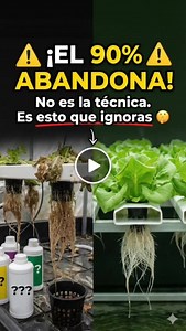 545 reactions · 19 shares | Cultiva Todo el Año SIN Clima   El...