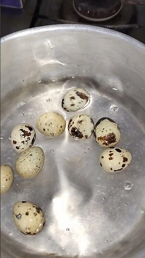 O Jeito mais Fácil de Cozinhar Ovos de Codorna 😱🥚