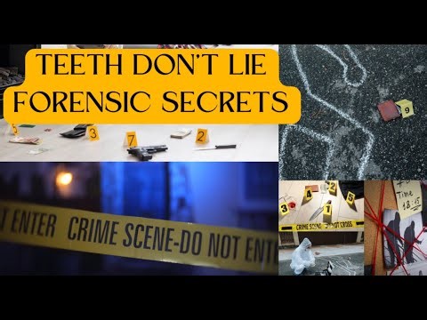 TEETH Don't LIE | Forensic Secrets #dentistexplains #forensicscience #crime #crimesceneanalysis