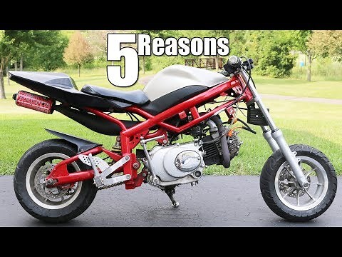 5 Reasons to Buy a Pocket Bike