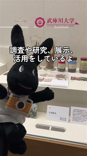 なんだこのおしゃれな施設は！？ #武庫川女子大学 #武庫川大学 #大学 #ミュージアム