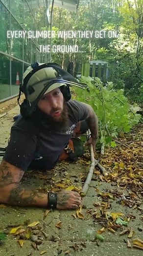 #goviralgo #fypシ゚viral #foryourpage #fypシ #foryou #arnold #predator #predators #arnie #gettothechopper #gettothechoppa #gettothechoppah #trees #trees #treework #treeservice #treesurgeon #treesurgeon #treesurgery #treesurgeonsuk @Mr.Bush