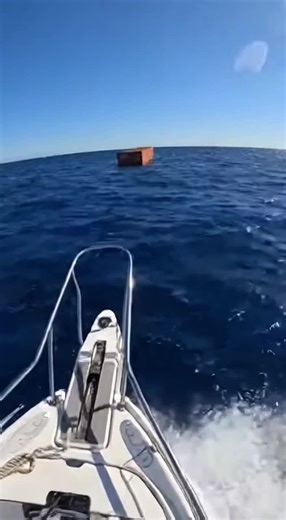 Exploring the North Sea: A Cargo Ship Adventure