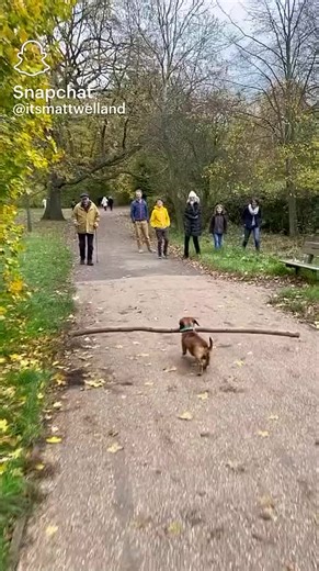 maria from denmark (@maria.from.denmar4)’s videos with original sound - maria from denmark