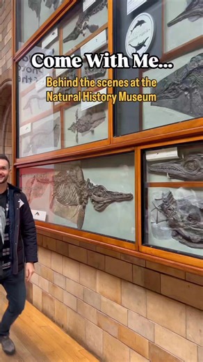 166K views · 5.4K reactions | A happy #FossilFriday #Halloween from me and my ichthyosaur friends, here at the Natural History Museum, London. Check out this beautifully gruesome ichthyosaur skull! Always wonderful to be back here, looking at the displays and going behind the scenes to study some gorgeous fossils. All of these are from the Early Jurassic. | Dr Dean Lomax - Palaeontologist | Facebook