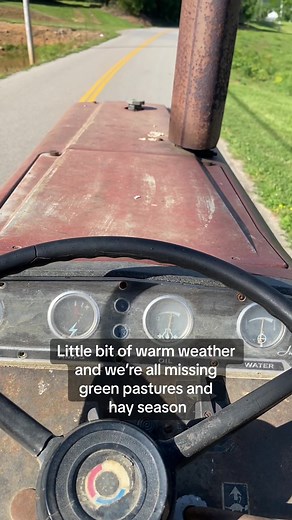 Summer 2024 wya? #farmlife #farming #easttennessee #newholland #caseih #dealership #farmtok #tractors #hayseason #westhillstractor #tractortok #oldtractors #onthefarm #farmstuff #bluecollar #working #cattle #cows #hay #roundbales #fordtractors #oldschoolfarming #mountains #summer