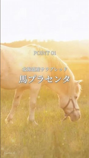 【決定版】美の根源へ。ラエンネック製法×ナノ化で圧倒的な吸収力を実現した最高級サプリメント｜キレイ・デ・ナノプラセンタ