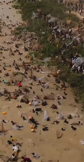 Garin Nabame kowa sarki🏊 #argungufishingfestival2026