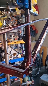 3.9K views · 87 reactions | Now Available 2025 Trek Procaliber C...