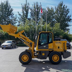 [Hot Item] Small Lugong Telescopic Mini Skid Steer Compact Track Loader with ISO