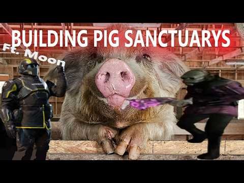 Budling pig sanctuary in Gmod (Ft. Moon)