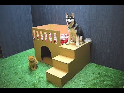 How to Make Puppy Dog House from Cardboard