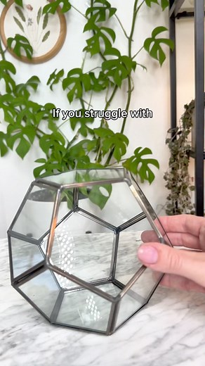 This is the EASIEST way to grow these little 💚 String of Pearls 💫These little buggers can be so tough to grow but I think I figured out the best way! 🙌I threw some in a terrarium jar & they have been THRIVING! I basically just water when the pearls get a bit squishy & keep it under a grow light ✨🪴 (a sunny window will works as well) Do you struggle with this plant? They are too cute & fun to give up on! 😂#houseplantsofinstagram #houseplants #houselplant #houseplantlover #plants #houseplantc