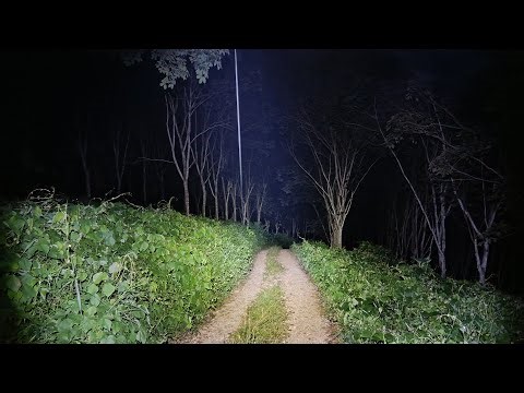 Live Misteri !! Tantangan Terbuka Boy Siap Obrak-Abrik Sarang Demit