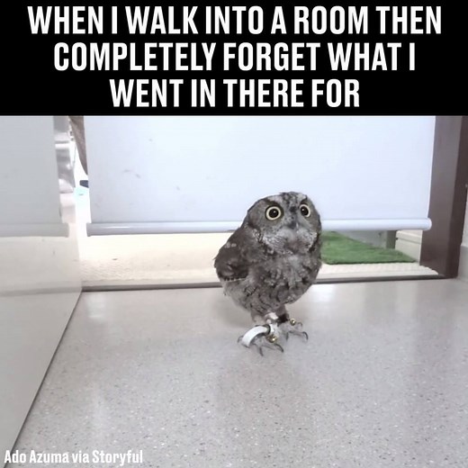 Twenty times a day 🙈 | LADbible