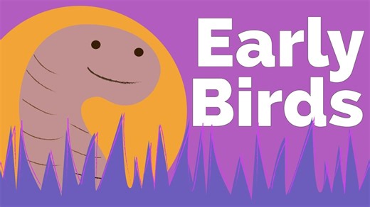 Early Birds