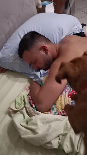 A Man and His Dog: A Heartwarming Bedroom Moment