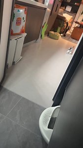 so sweet meow🥰#cat #meow #kitten #reels #short | Sweet Meows