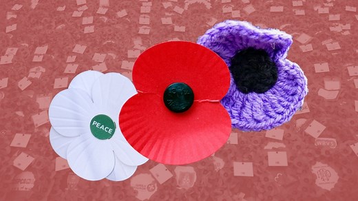 What does a white, purple or blue poppy mean? Different colours explained