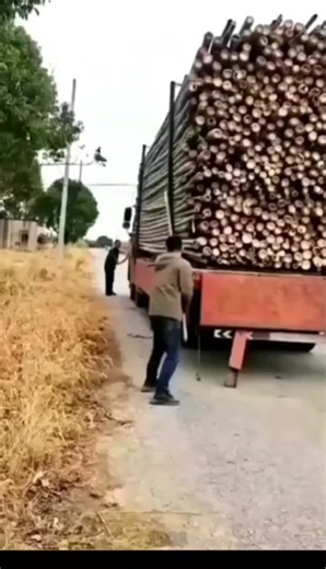 Logging Operations: A Day with a Truck and Logs