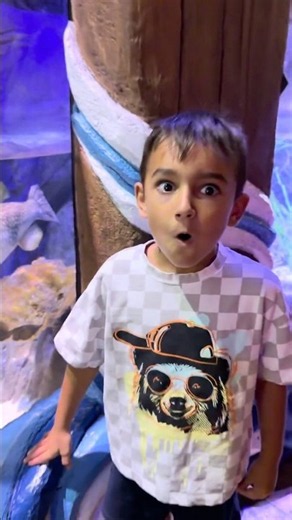 Why Do Pufferfish Puff Up 🐡 Fun Facts for Kids