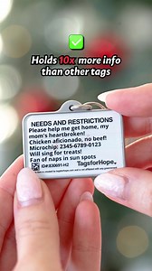 392K views · 4.6K reactions | "Unbelievably cute and practical dog...