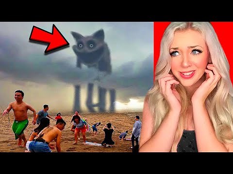 CATNAP POPPY PLAYTIME SPOTTED IN REAL LIFE!? (*scary*)