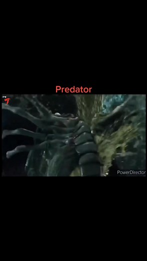 Predator vs. Alien: The Ultimate Action Showdown