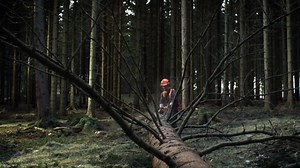 8.4K views · 113 reactions | The Husqvarna 550XP ladies & gentlemen, light, agile & powerful. Increasingly becoming the most popular chainsaw in Ireland with Coillte just after increasing stocks for their training courses in 2015! | Husqvarna | Facebook