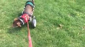 20K views · 3.7K reactions | Stubz had a HUGE breakthrough today with...