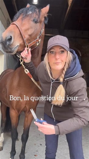 Camille De Fauconval | ⁉️Je coupe ou non 🤔? Toi tu es plutôt team cheval avec un long toupet ou petit toupet coupé façon Levisto Z 🦄 #cheval #poney #étalon... | Instagram
