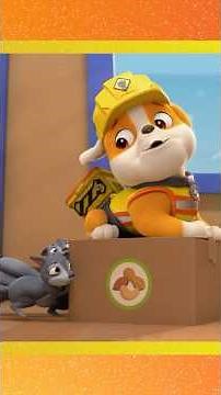 oh no! there's squirrels in the post office 🐿️ #shorts