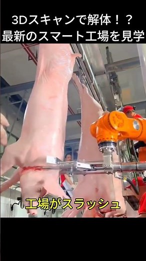 3Dスキャンで解体！？最新のスマート工場を見学 #工場見学 #製造工程 #食肉加工 #スマート工場 #自動化 #ロボットアーム #産業用ロボット