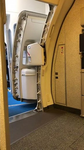 ANA cabin attendant close the door courteously